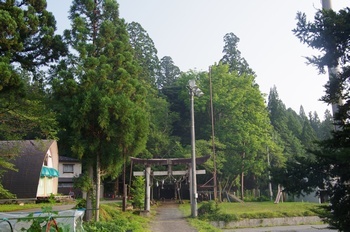 白馬村八方 細野諏訪神社社叢