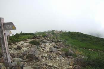 白馬村八方尾根 登山道