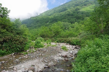 小谷村栂池自然園 楠川