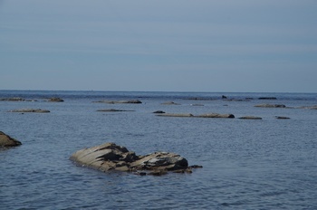 男鹿半島鵜ノ崎海岸の岩石