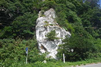 男鹿半島��山崎 椿の白岩