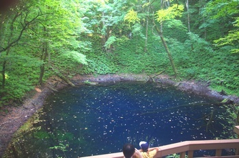 深浦町十二湖鶏頭青池