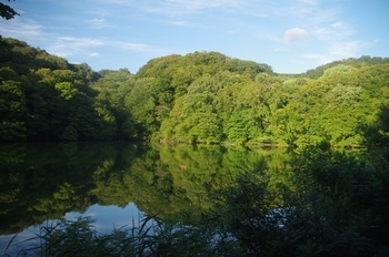 深浦町十二湖 落口の池