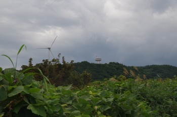 深浦町椿山 展望塔と風車