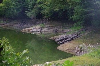深浦町 十二湖 日暮の池