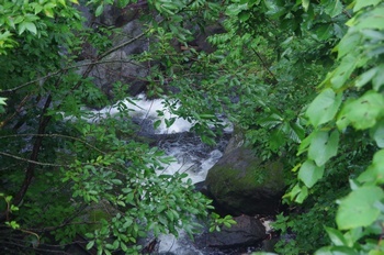 青森市寒水沢 沢