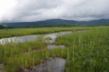 八甲田山田代平湿原