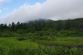 八甲田山 睡蓮沼