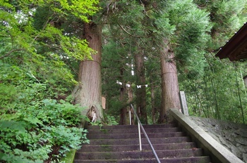 普代村鵜鳥神社 参道