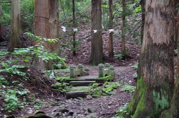 普代村鵜鳥神社 神道橋