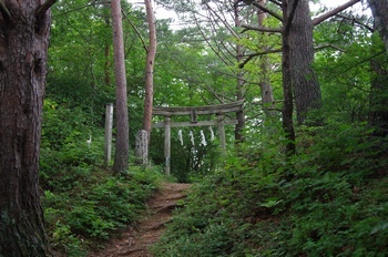 普代村鵜鳥神社 鳥居