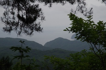 普代村卯子酉山展望台から三陸海岸
