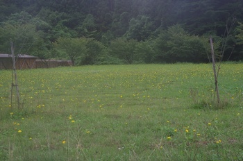野田村玉川鉱山 ブタナ