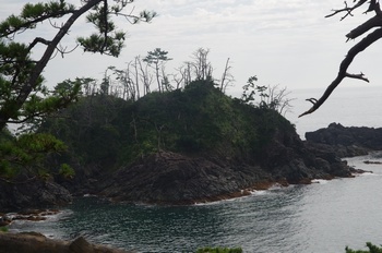 気仙沼大島竜舞崎 島