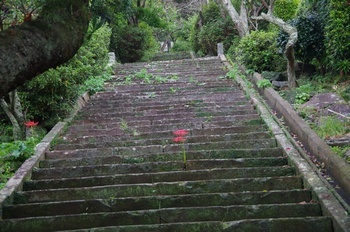 平戸市教会坂 石段とヒガンバナ