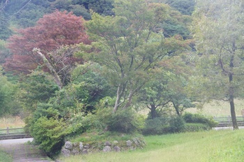 雲仙温泉カキツバタ公園