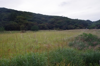雲仙温泉原生沼