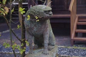雲仙温泉 温泉神社狛犬
