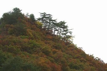 磐越道 県境の紅葉