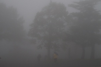 安達太良山薬師岳遊歩道 霧
