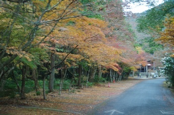 美濃市大矢田神社 鳥居前