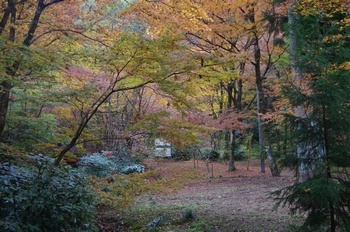 美濃市大矢田神社 紅葉谷