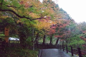 袋井市法多山尊永寺 濡れた道路