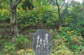 袋井市法多山尊永寺 ツワブキと石碑