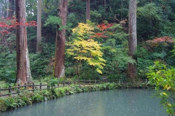 森町小国神社 事待池