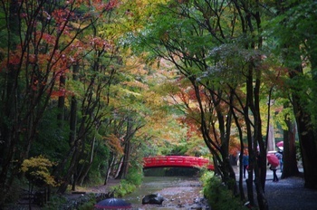森町小国神社 宮川