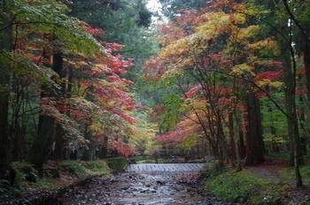 森町小国神社 宮川
