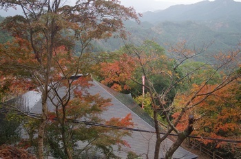新城市鳳来寺 鎮守堂からの景色