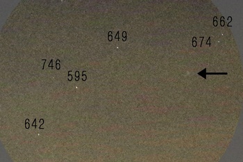 ネオワイズ彗星