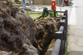 丹波市柏原 木の根橋