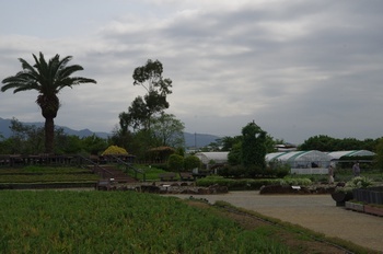 和泉市リサイクル公園