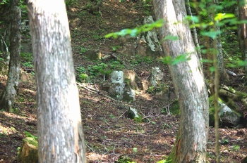 西粟倉村 ダルガ峰自然歩道 岩盤