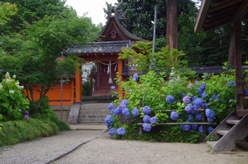 矢田寺 春日神社