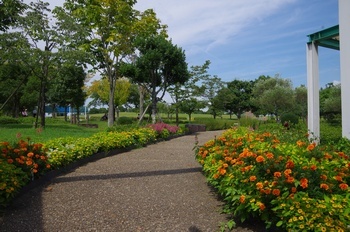 ひまわり公園 花壇