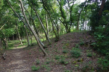 三木市秀吉本陣跡 主郭