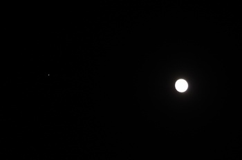 ８日 月と木星