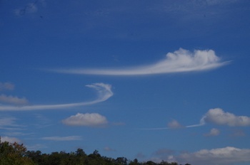 フラワーセンター 尾流雲