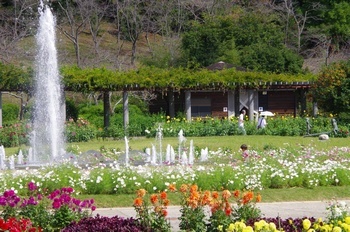 加西市フラワーセンター 四季の花壇
