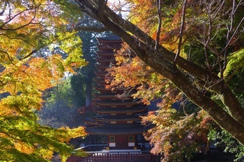 談山神社十三重の塔と紅葉