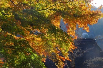 談山神社 紅葉