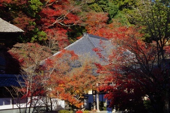 永源寺 法堂