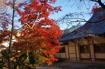 永源寺 僧堂