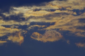 ８日 彩雲