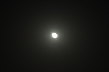 QX 