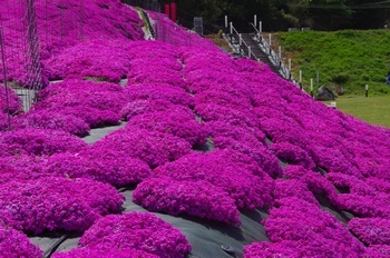 sX ō