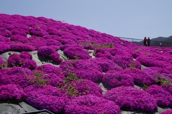 sX ō